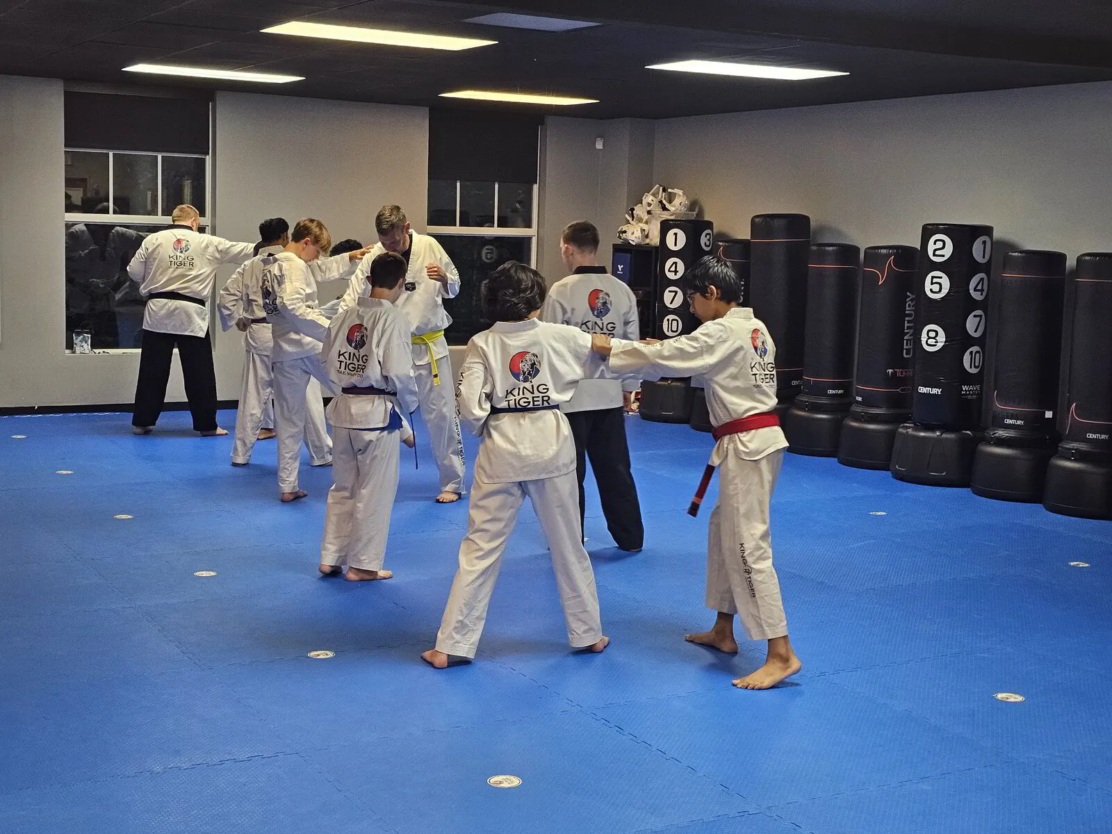 Teen and adult King Tiger students training together
