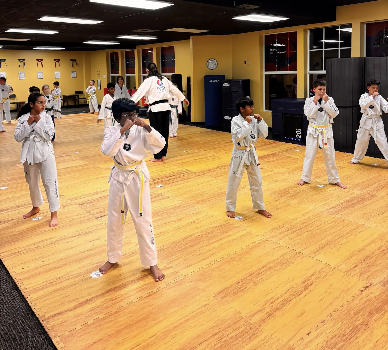 Young King Tiger students practicing a ready stance